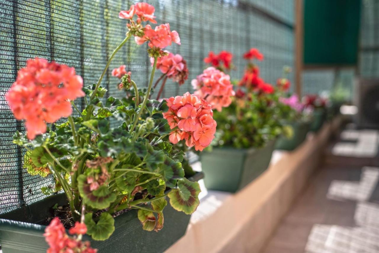 Garden House Vale Apartment Roma Exterior foto